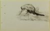 1897-1904 ca. - Studio di paesaggio
